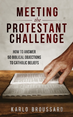 Meeting The Protestant Challenge