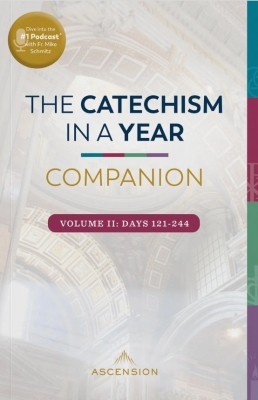 catechism in a year companion volume 2
