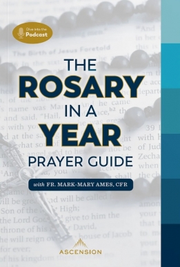 rosary in a year prayer guide