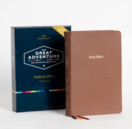 great adventure bible 2nd ed premium
