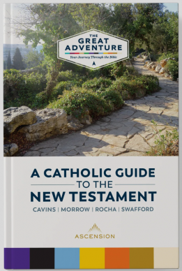 catholic guide to the new testament